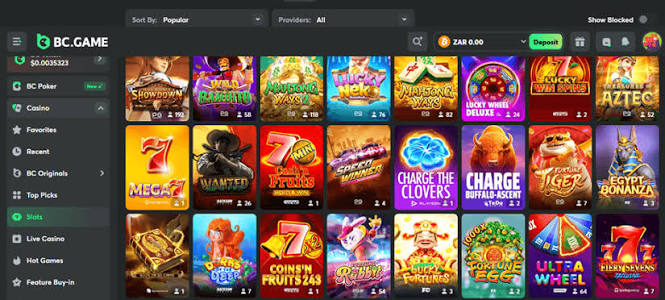 Exploring the BC.Game Online Platform A New Era in Online Gaming